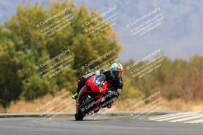 media/May-15-2022-SoCal Trackdays (Sun) [[33a09aef31]]/Turn 7 (1145am)/